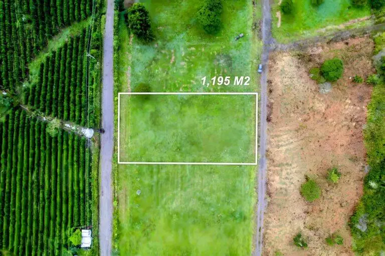 Terreno en Venta en Nueva California Chiriqui Panamá | $80,000 | MLS# 21328