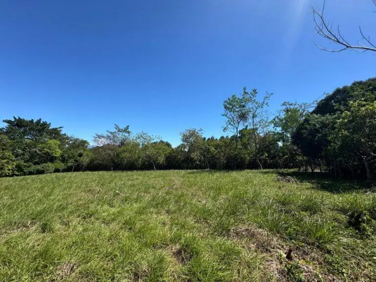 Terreno en Venta en Potrerillos Abajo Chiriqui Panamá | $60,000 | MLS# 21807