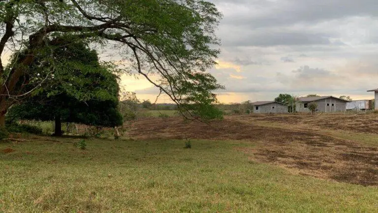 Terreno en Venta en San Pablo Viejo Chiriqui Panamá | $458,808 | MLS# 22896