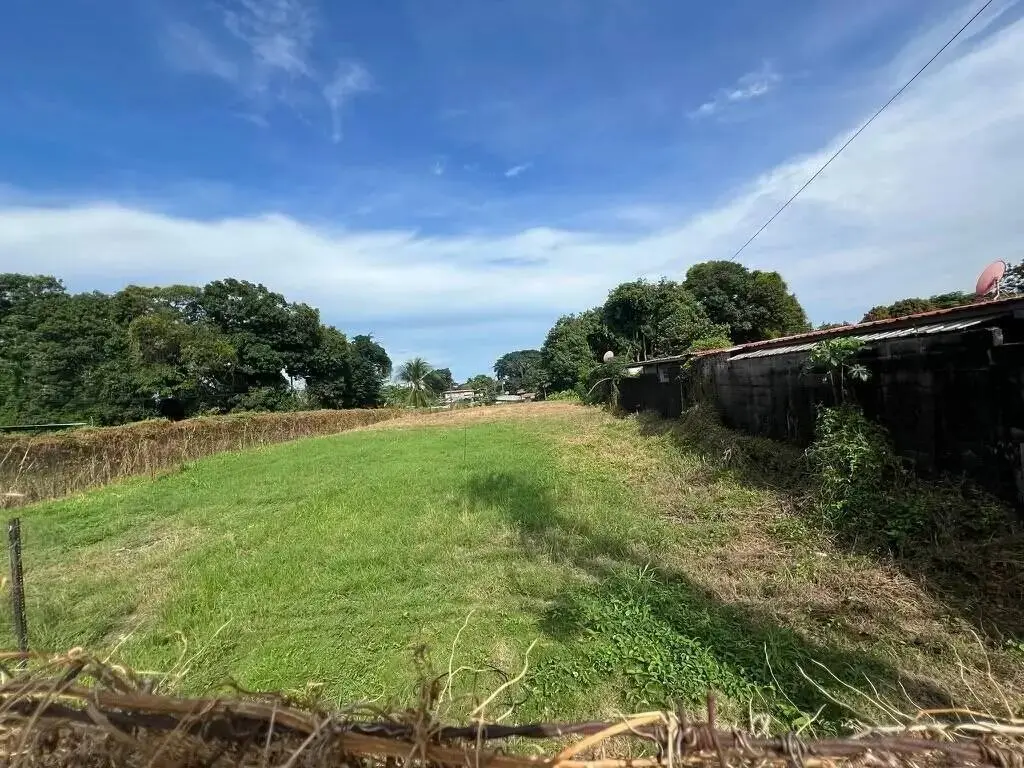 Terreno en Venta en Pedregal Panamá Panamá | $315,000 | MLS# 23565