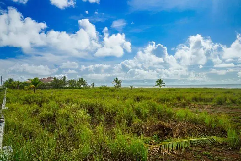 Terreno en Venta en Alanje Chiriqui Panamá | $165,000 | MLS# 23755