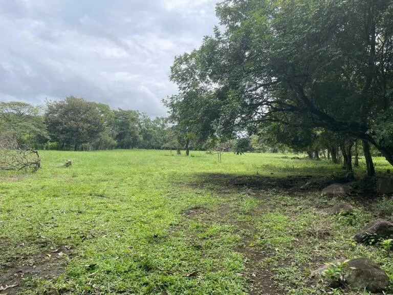 Finca en Venta en Dolega Chiriqui Panamá | $350,000 | MLS# 24194