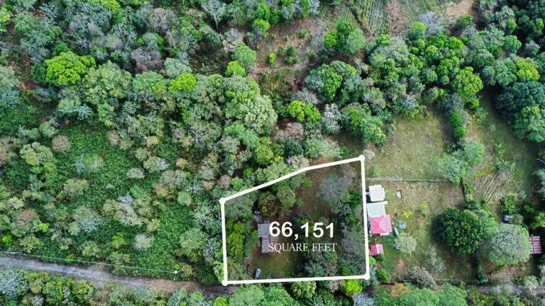 Terreno en Venta en Palmira Chiriqui Panamá | $66,685 | MLS# 24498