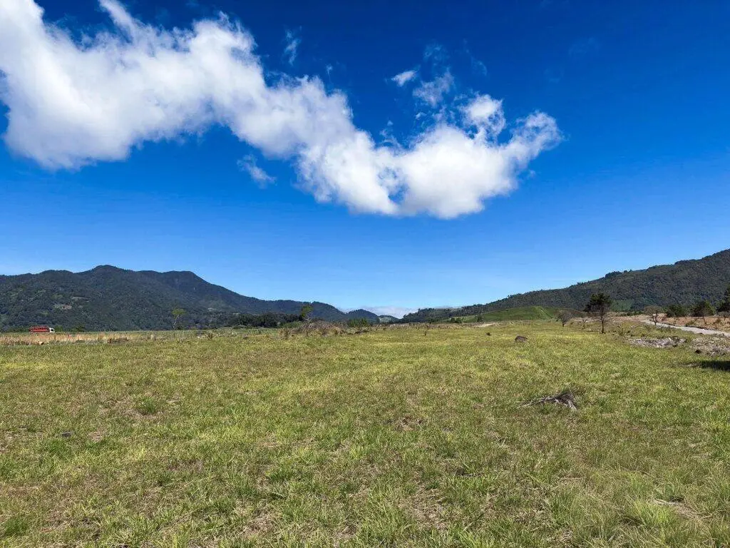 Terreno en Venta en Paso Ancho Chiriqui Panamá | $98,467 | MLS# 24746