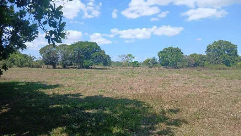 Terreno en Venta en Atalaya Veraguas Panamá | $26,655 | MLS# 24765