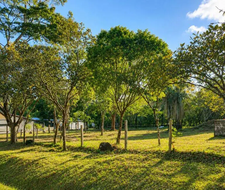 Terreno en Venta en Caldera Chiriqui Panamá | $99,000 | MLS# 24802
