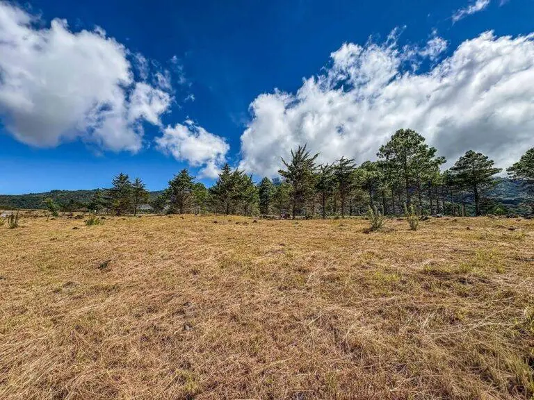 Terreno en Venta en Paso Ancho Chiriqui Panamá | $96,494 | MLS# 24812