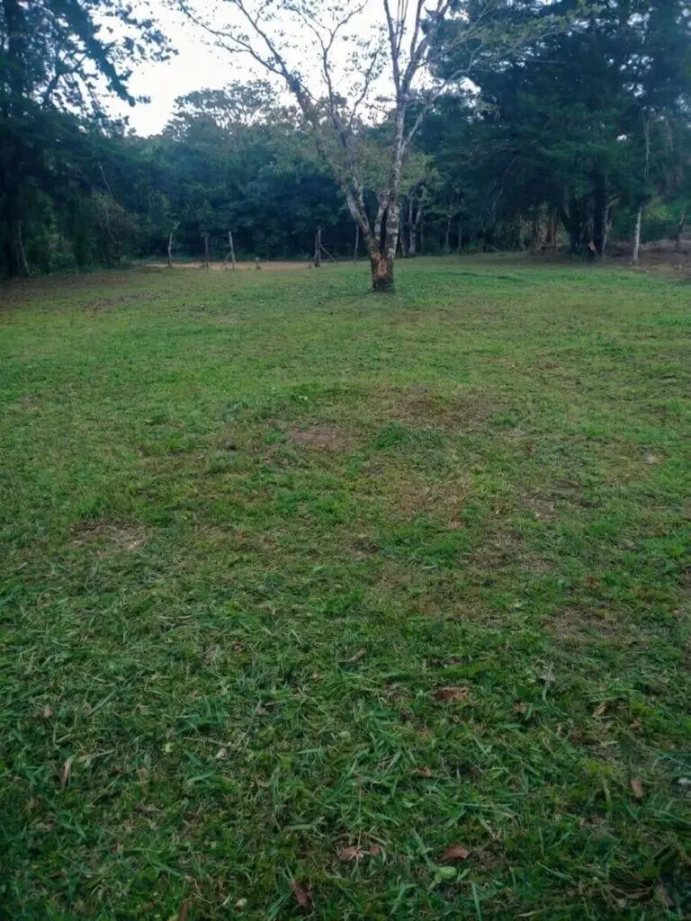 Finca en Venta en Potrerillos Abajo Chiriqui Panamá | $27,000 | MLS# 24877