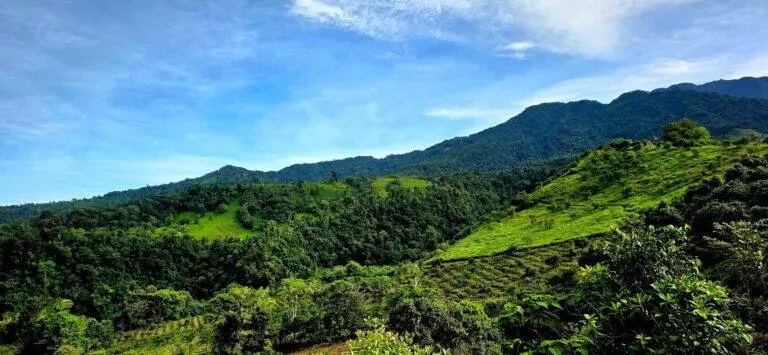 Finca en Venta en Boquerón Chiriqui Panamá | $800,000 | MLS# 24886