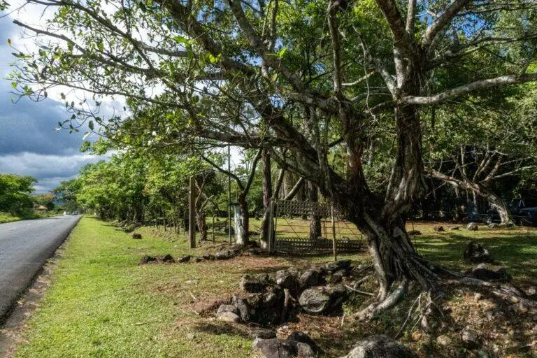 Finca en Venta en Potrerillos Chiriqui Panamá | $224,625 | MLS# 24894