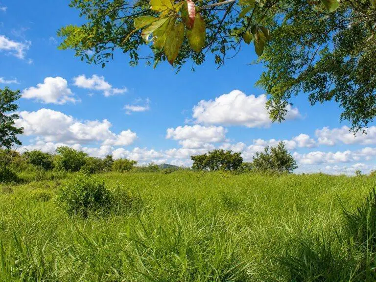 Terreno en Venta en Tinajas Chiriqui Panamá | $201,413 | MLS# 24974