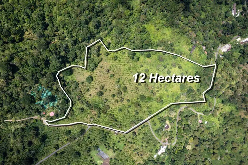 Finca en Venta en Los Naranjos Chiriqui Panamá | $3,826,440 | MLS# 25213