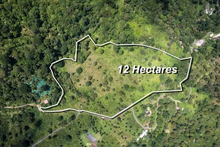 Finca en Venta en Los Naranjos Chiriqui Panamá | $3,826,440 | MLS# 25213