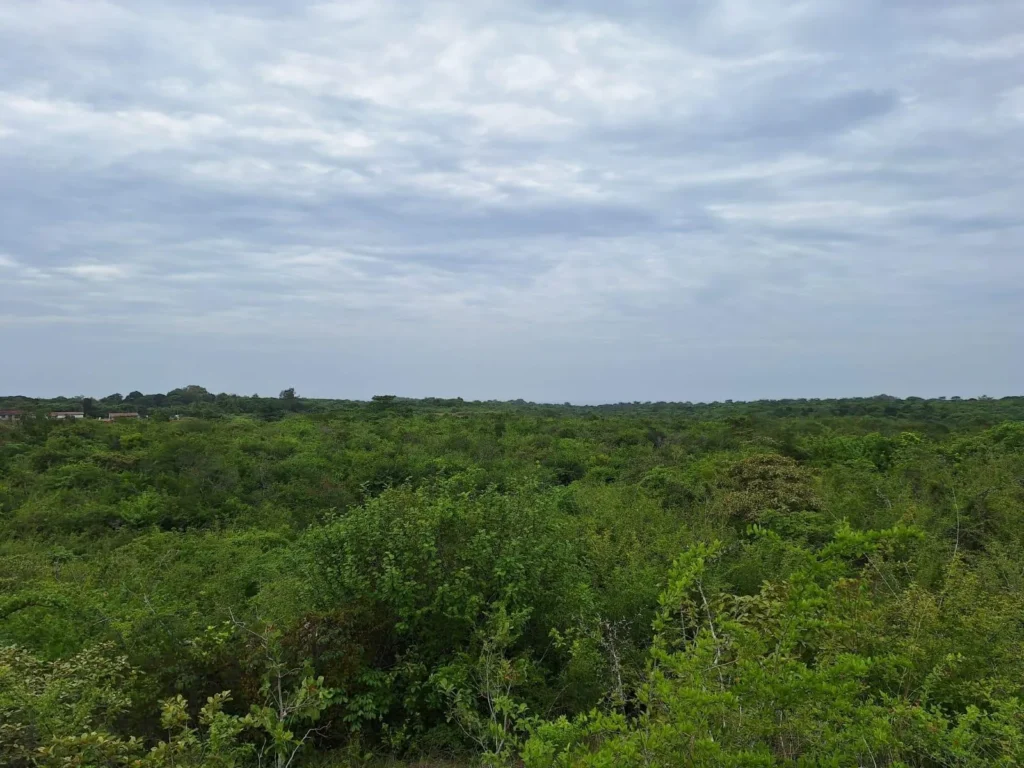 Finca en Venta en El Higo Panamá Oeste Panamá | $1,987,836 | MLS# 25366