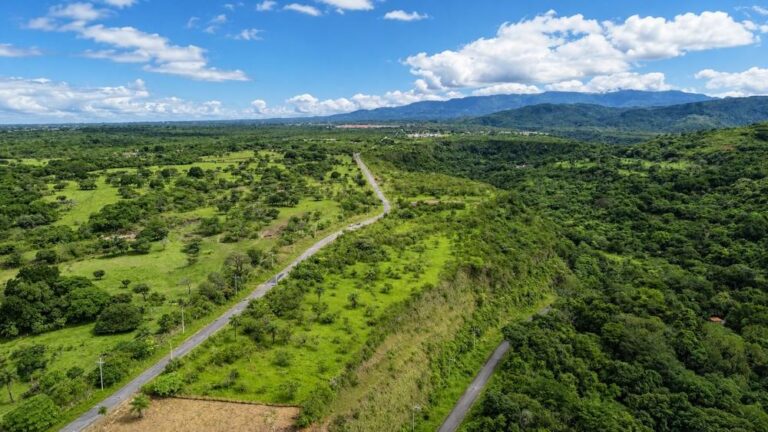 Terreno en Venta en Caldera Chiriqui Panamá | $95,000 | MLS# 25369