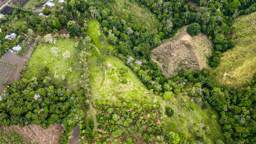 Finca en Venta en Potrerillos Chiriqui Panamá | $1,500,000 | MLS# 25467