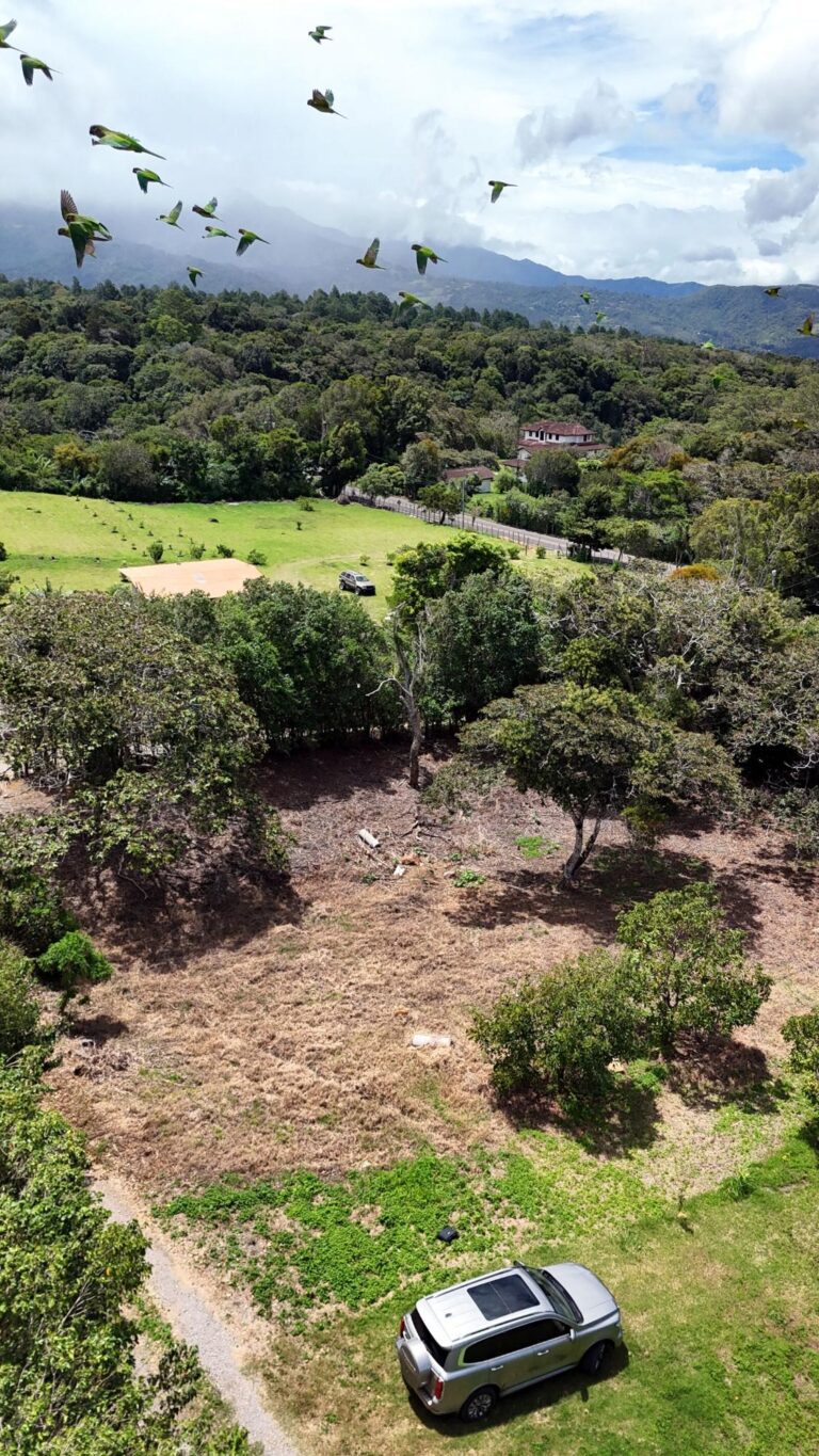 Terreno en Venta en Palmira Chiriqui Panamá | $69,000 | MLS# 25509