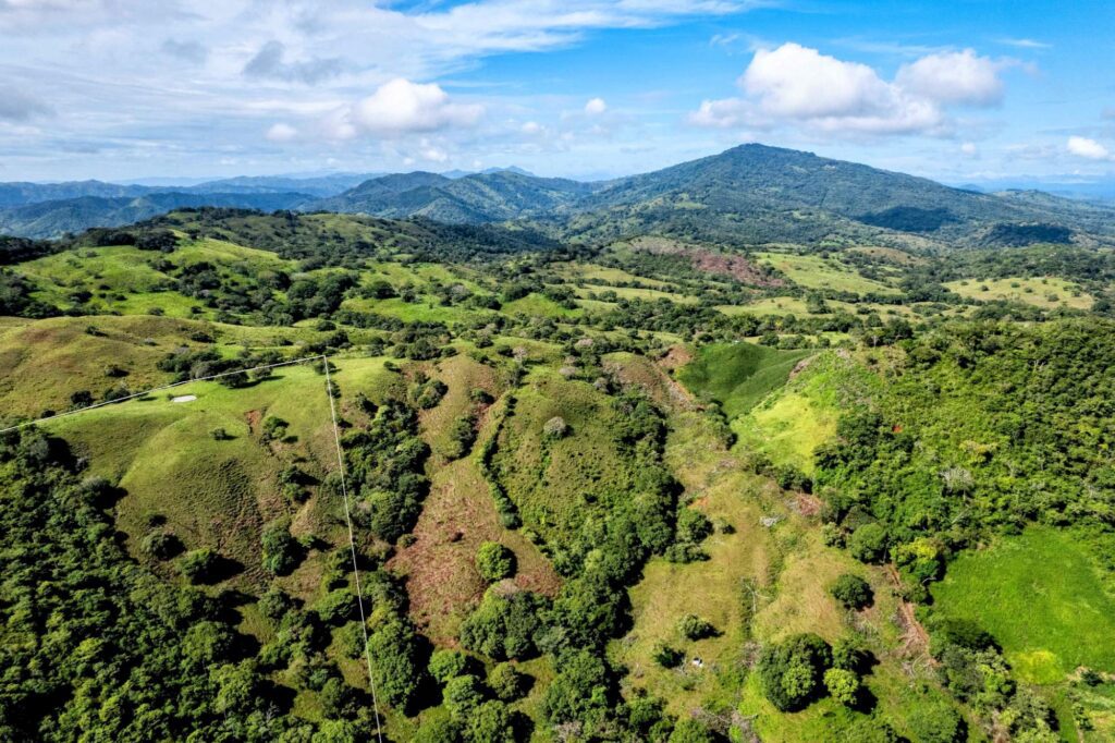 Finca en Venta en Palmira Los Santos Panamá | $170,000 | MLS# 23994