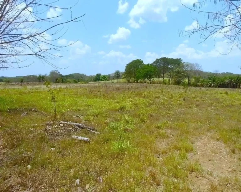 Finca en Venta en La Raya de Santa María Veraguas Panamá | $185,000 | MLS# 25729
