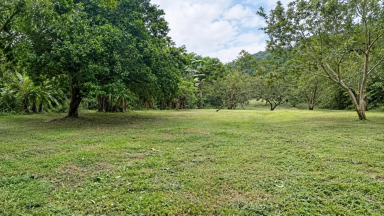 en Venta en El Valle Coclé Panamá | $695,000 | MLS# 25883