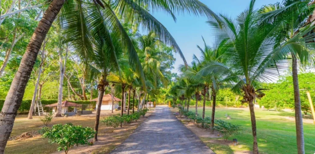 Finca en Venta en Chame Panamá Oeste Panamá | $1,985,000 | MLS# 25895