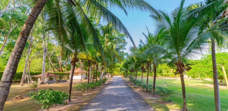 Finca en Venta en Chame Panamá Oeste Panamá | $1,985,000 | MLS# 25895