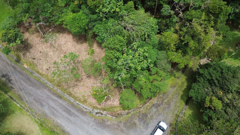 Terreno en Venta en Sorá Panamá Oeste Panamá | $79,000 | MLS# 25931