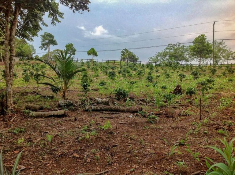 Terreno en Venta en Toabaré Coclé Panamá | $35,000 | MLS# 25961