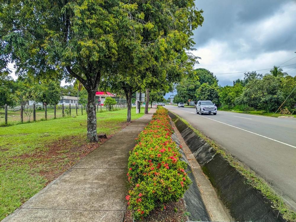 Terreno en Venta en Los Anastacios Chiriqui Panamá | $2,850,000 | MLS# 26003