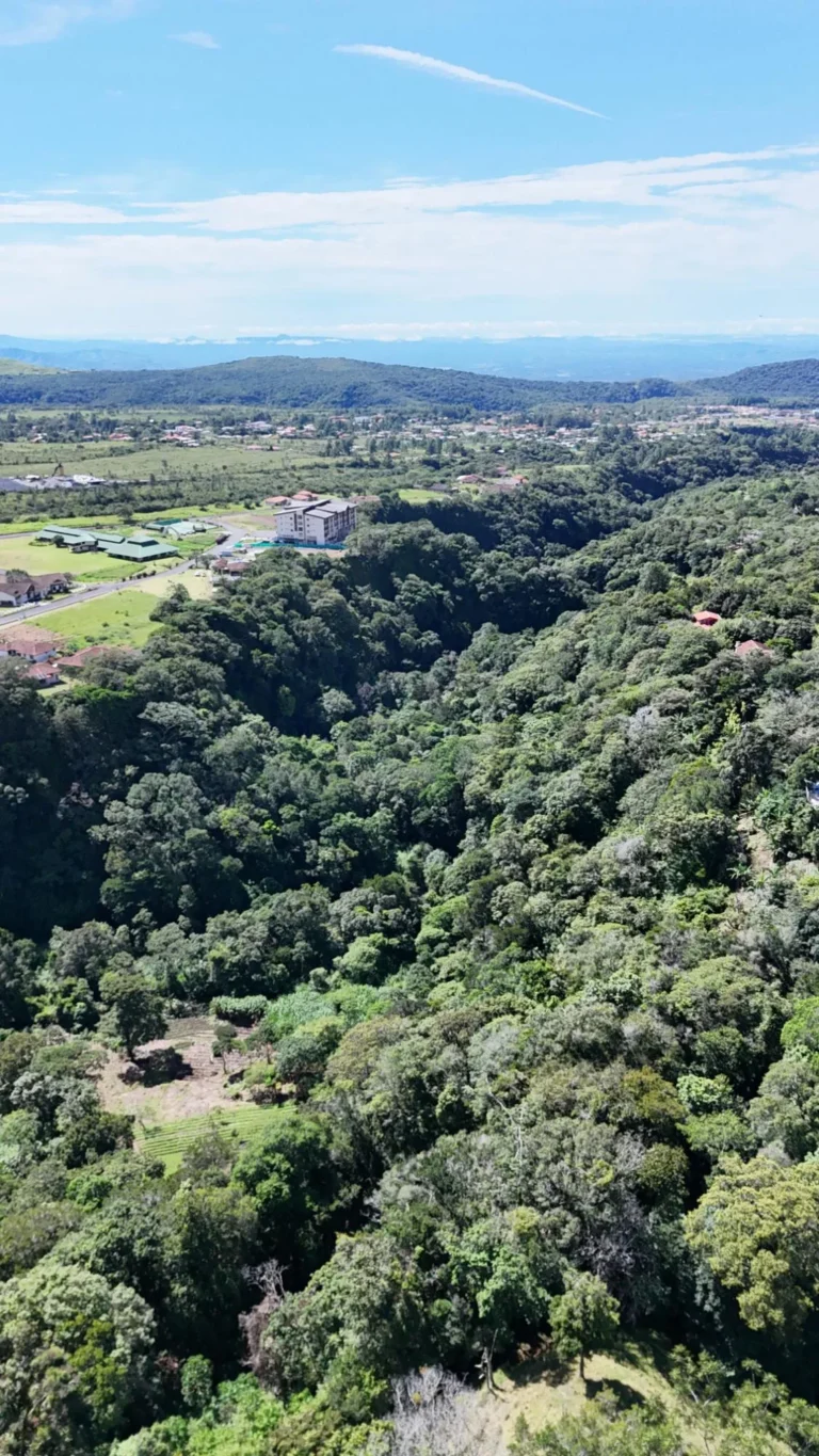 Finca en Venta en Alto Boquete Chiriqui Panamá | $483,840 | MLS# 26053