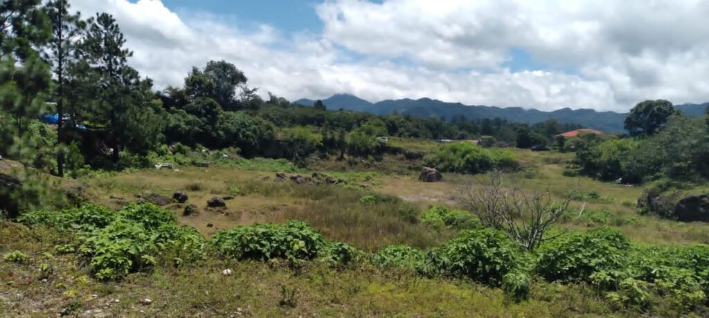 Terreno en Venta en Alto Boquete Chiriqui Panamá | $450,000 | MLS# 26118