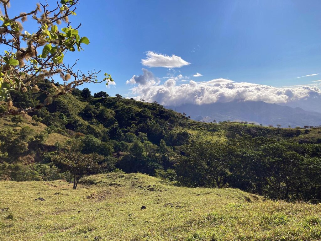 Finca en Venta en Caldera Chiriqui Panamá | $429,000 | MLS# 26120