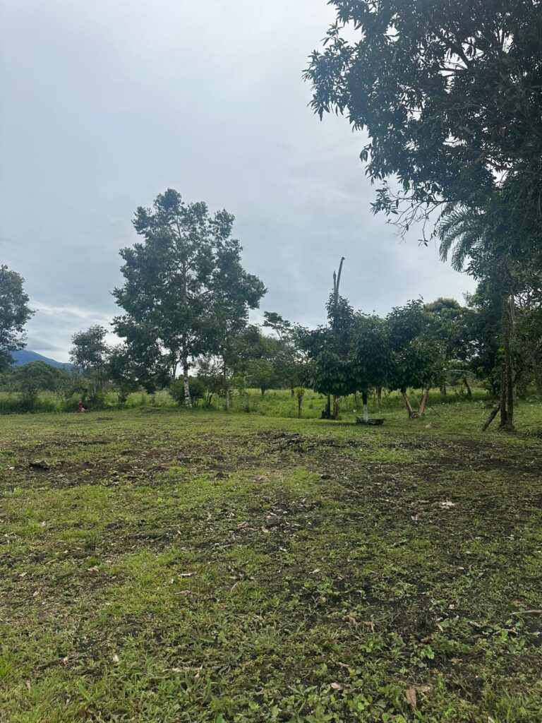 Terreno en Venta en Potrerillos Chiriqui Panamá | $125,000 | MLS# 26127